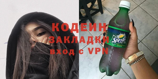 хмурый Нея