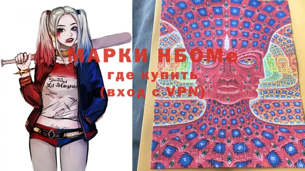 хмурый Нея