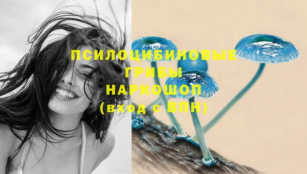 хмурый Нея